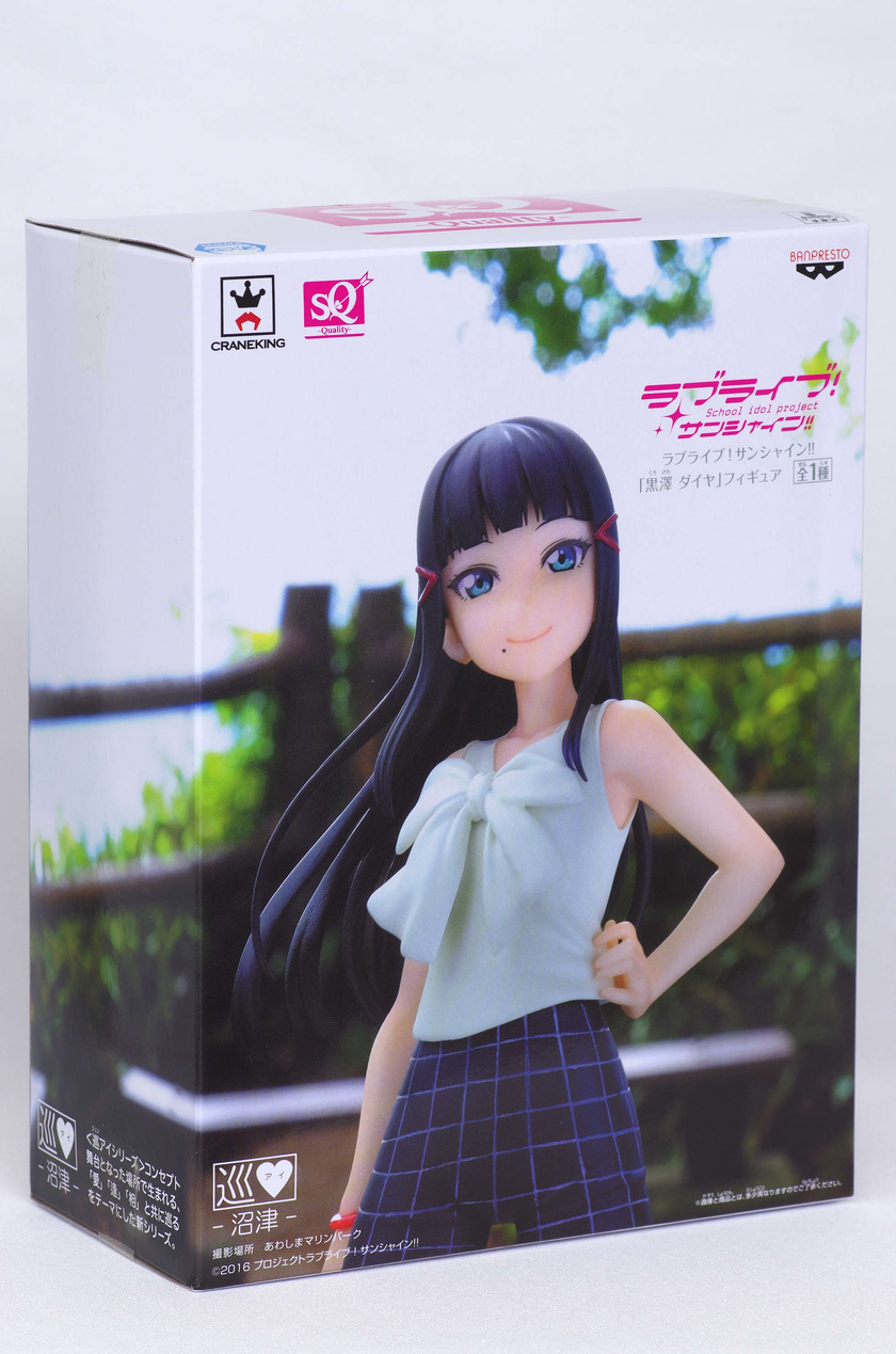 IMGP6833