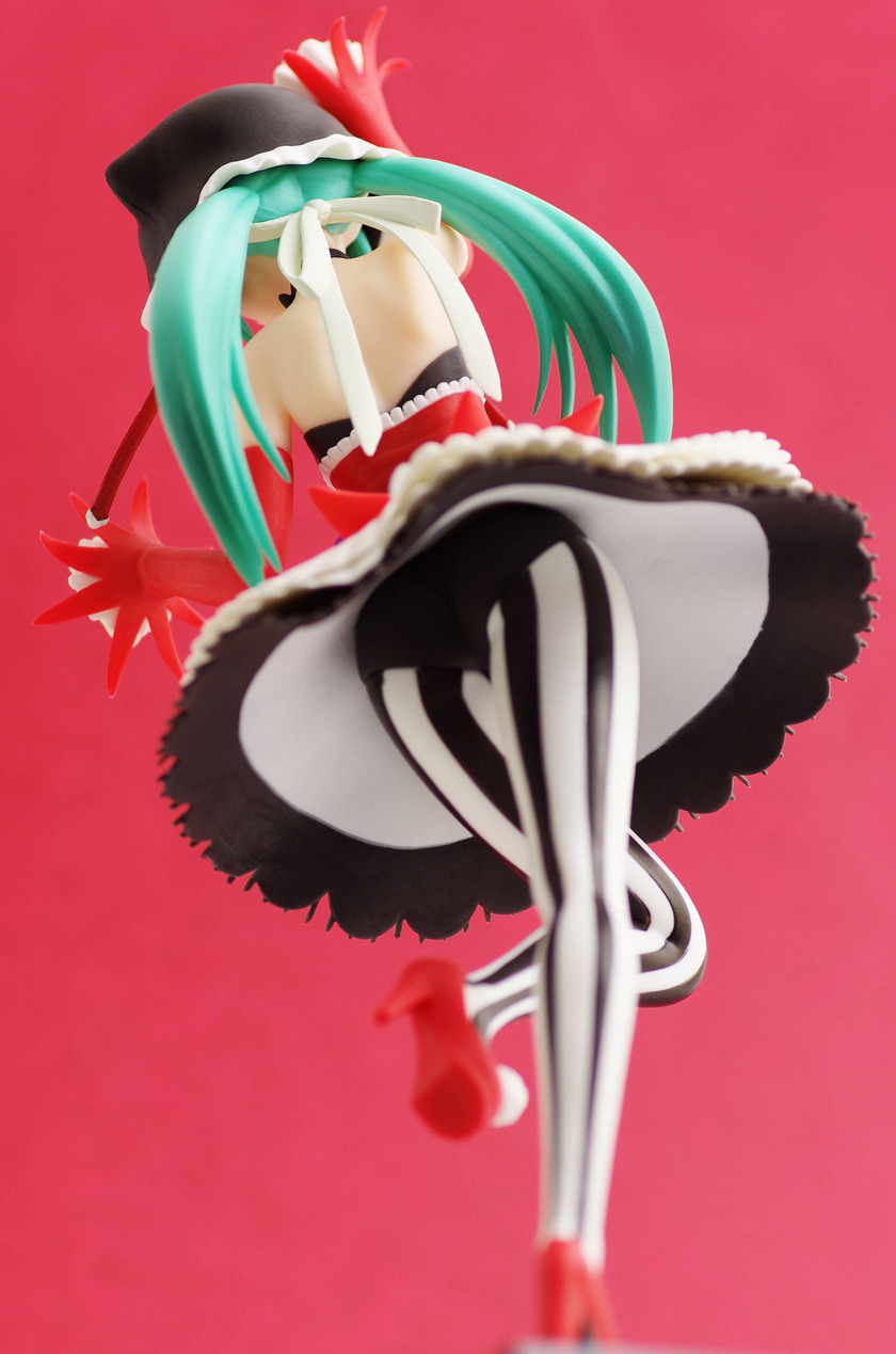 IMGP6286