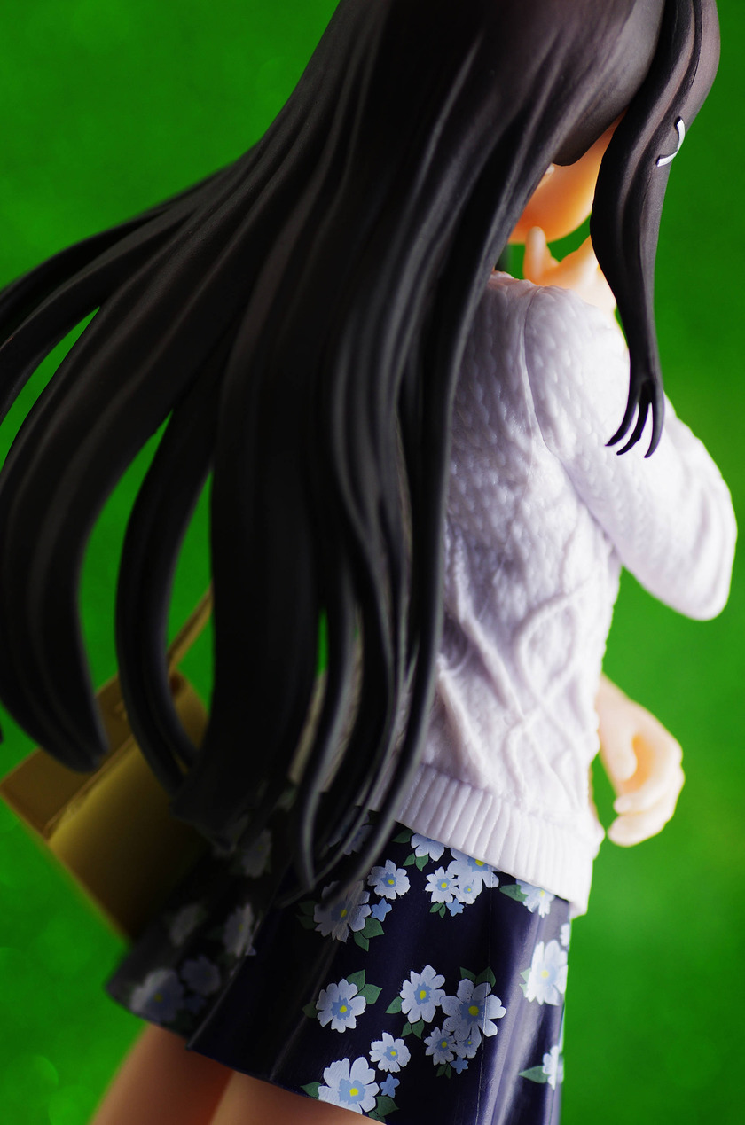 IMGP8481