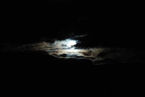 DSC_1198