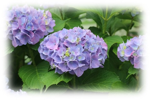 かやぶや家24
