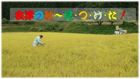 いねかり2