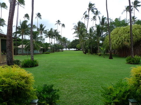 P1420410