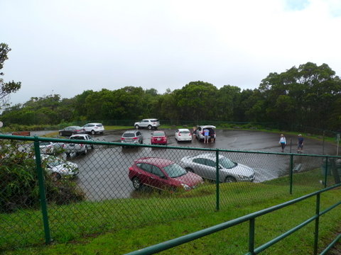 P1420562