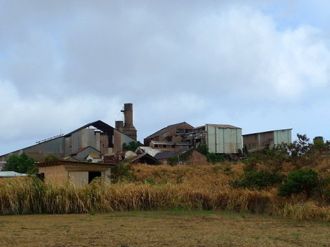 P1410754