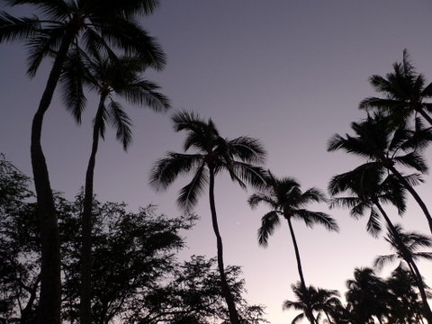 P1480135