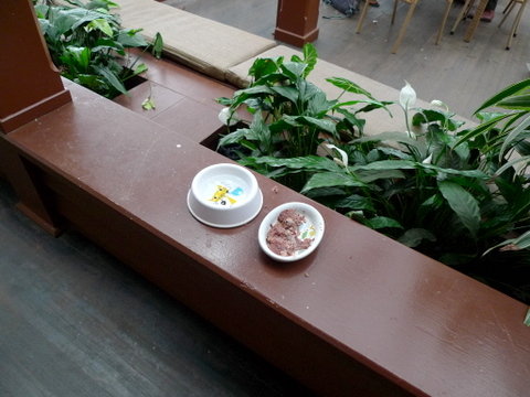 P1370659