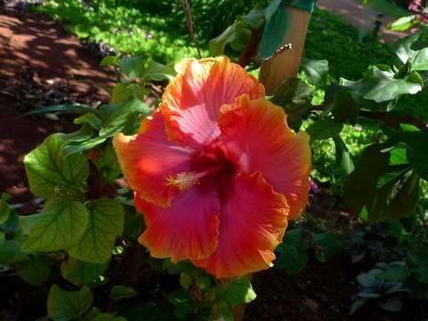 P1410649