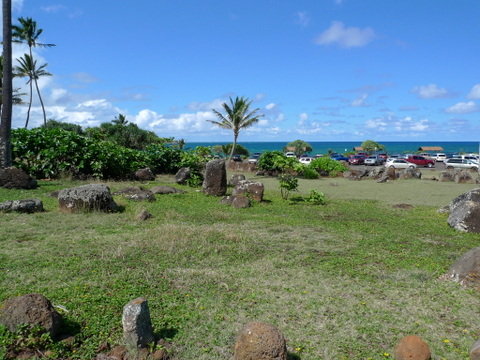 P1400783