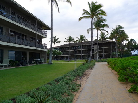 P1320633