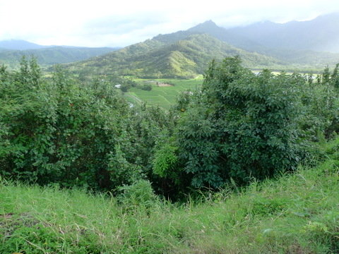 P1450810