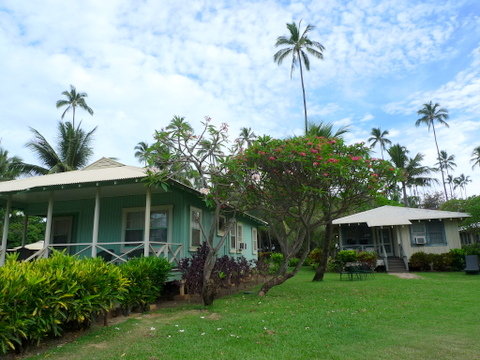 P1490356