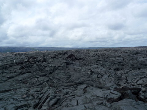 P1440969