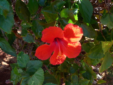 P1410630