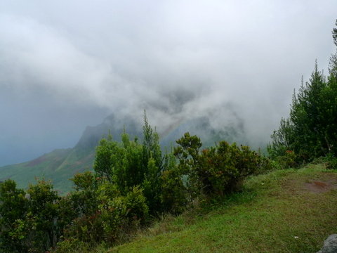 P1420563