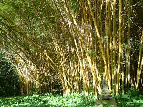 P1200825
