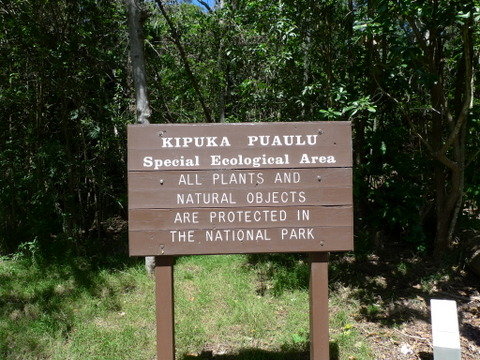 P1290405