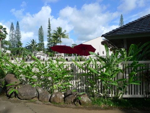 P1450786