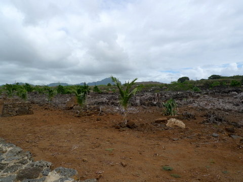 P1410951