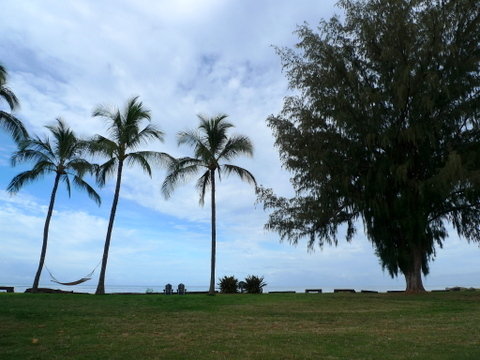 P1490352