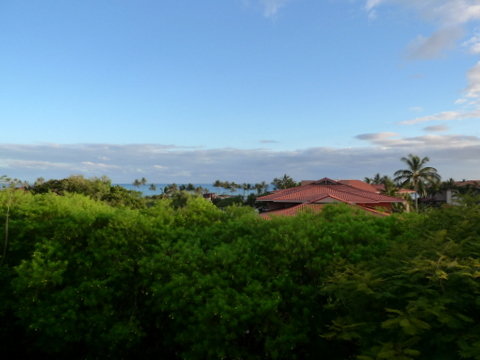 P1320590