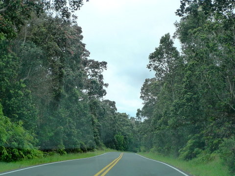P1440133