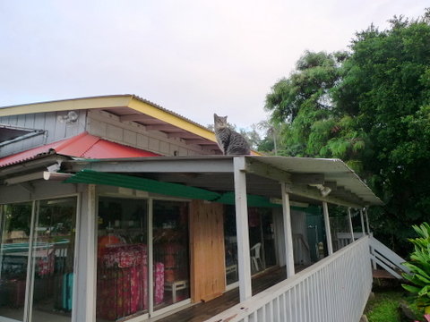 P1480168