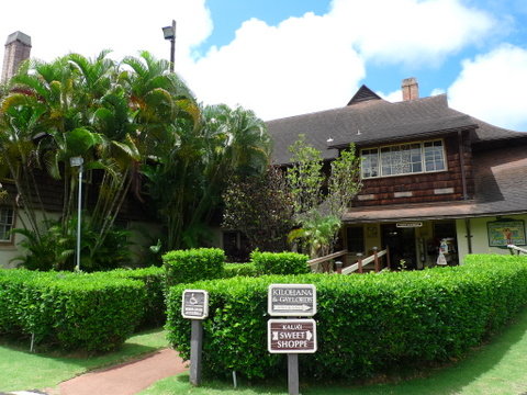 P1400999