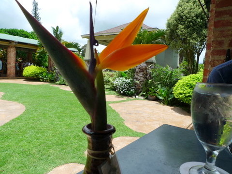 P1400972