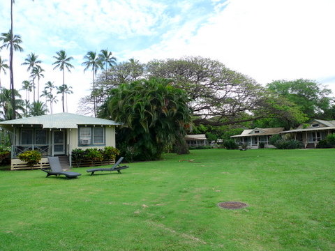 P1490358