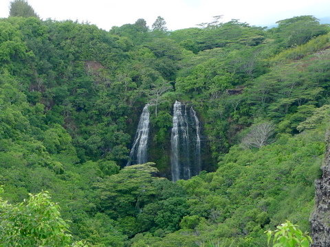 P1400352