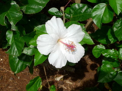 P1420040