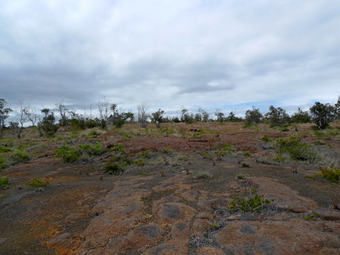 P1440143