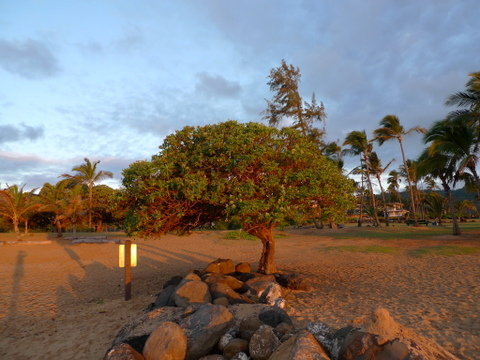 P1400861