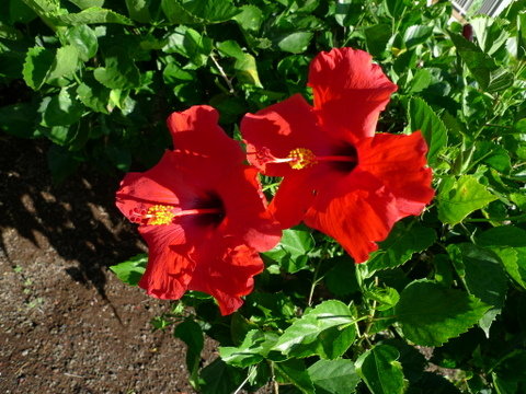 P1350801
