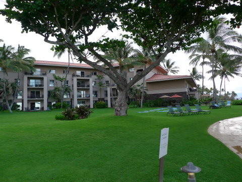 P1320635