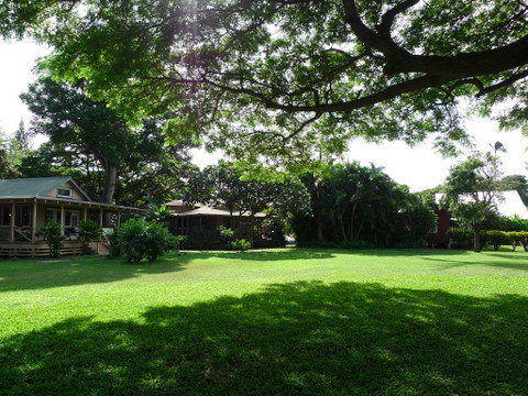 P1420394