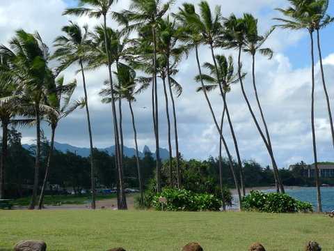 P1400808