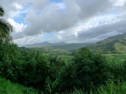 P1450803