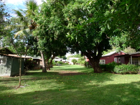 P1490342