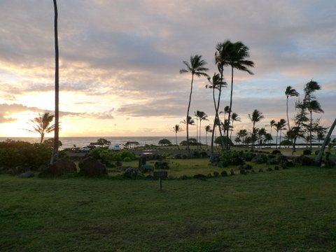 P1400872