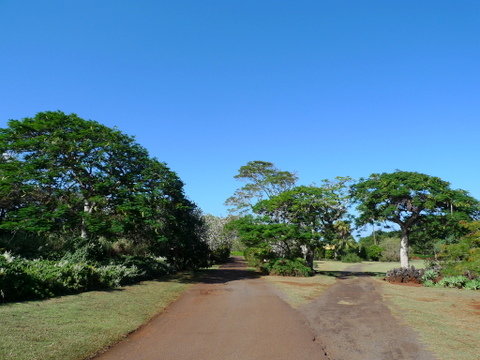 P1430499