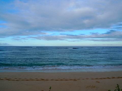 P1320631
