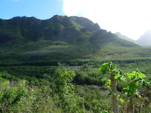 P1430516