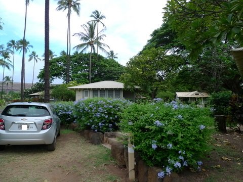 P1420379