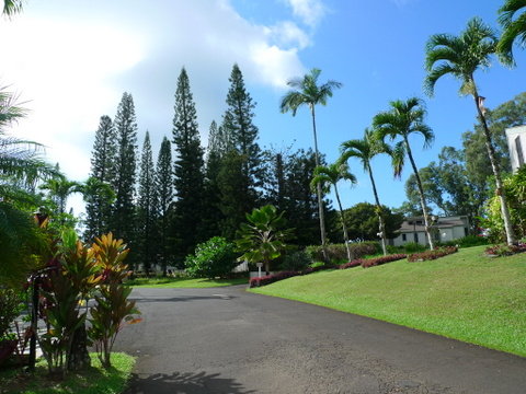 P1450794