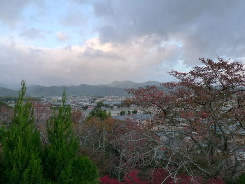 P1480910