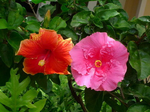 P1340206