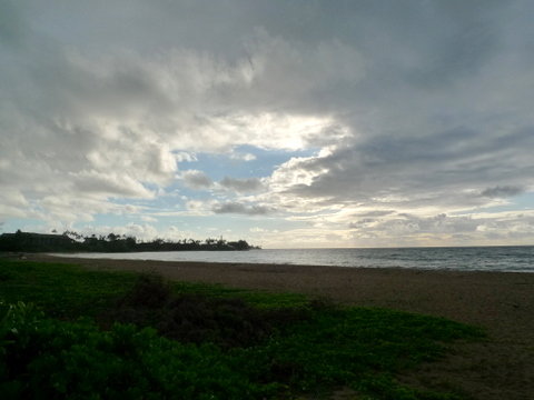 P1400886