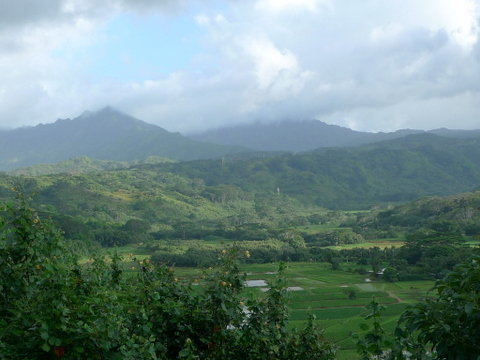 P1450804